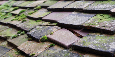 Great Staughton roof repair costs